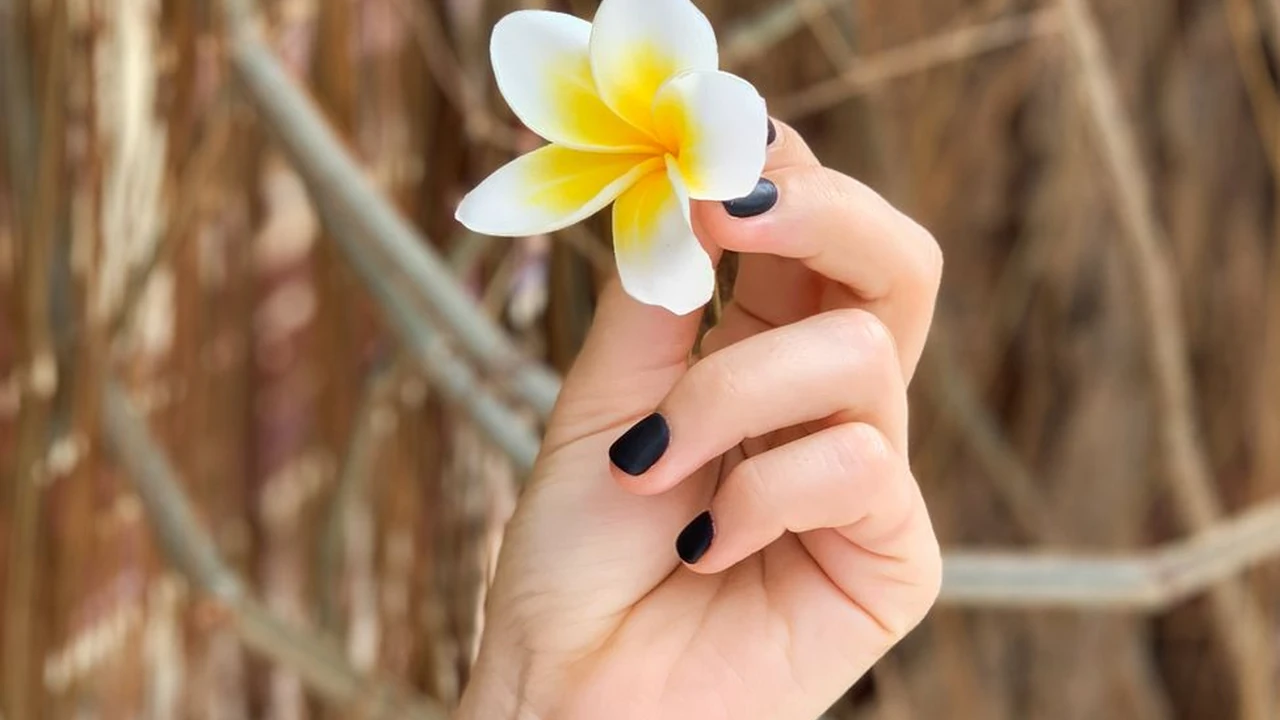 快播破解版风险与诱惑并存的选择